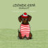 aprender a cuidar a nuestras mascotas