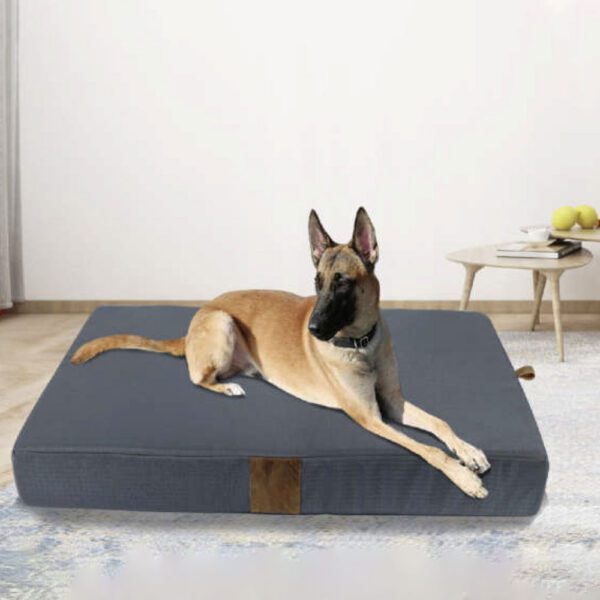Camas Pet y accesorios Fitness